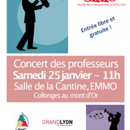 Concert des professeurs Samedi 25 janvier – 11h Salle de la Cantine, EMMO